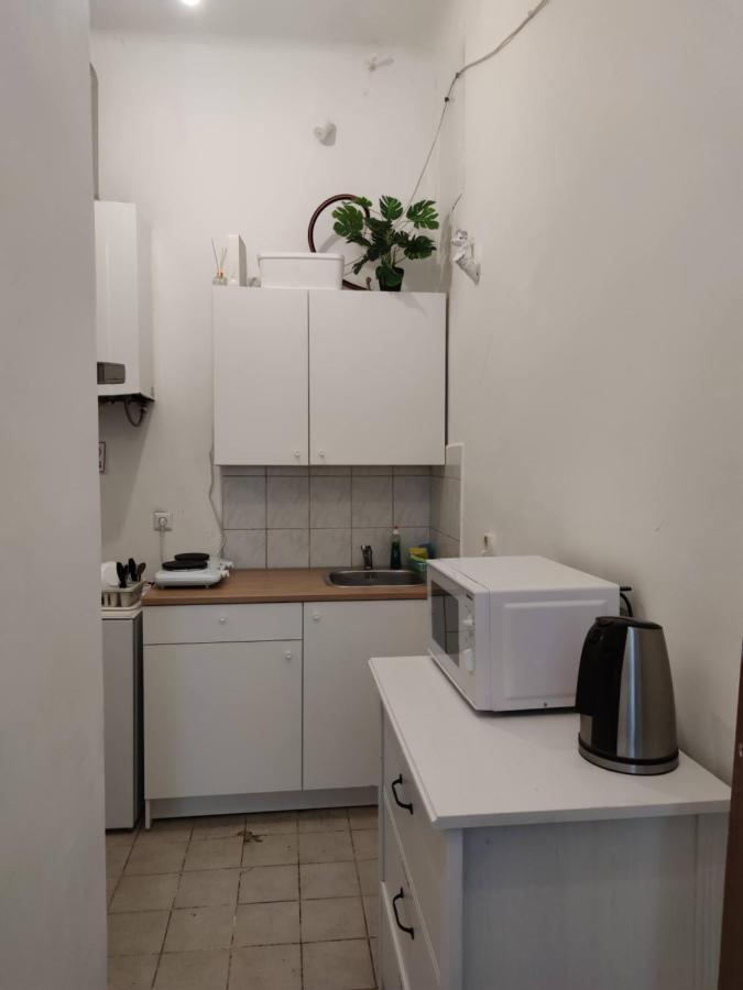 Room With Privat Shower In 3 Rooms Apartment Βιέννη Εξωτερικό φωτογραφία